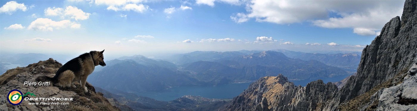 84 Dori in attenta osservazione..verso la Cresta Segantini, Il Lago di Como con Abbadia Lariana.....jpg